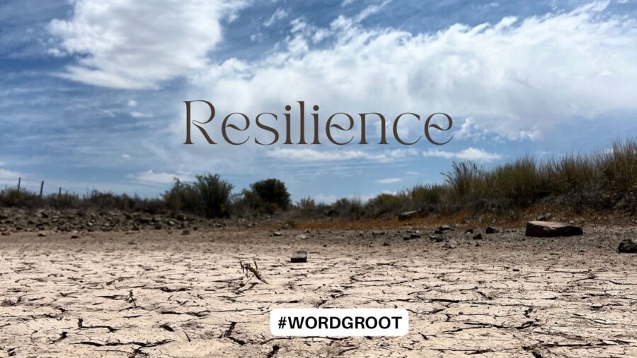 Personal Responsibility for Building Resilience