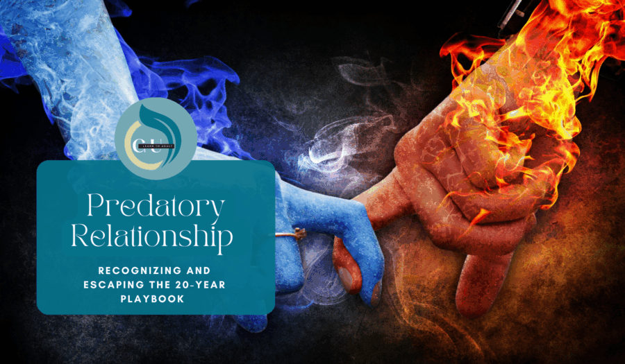 These Predatory Relationship Patterns Needs Recognition