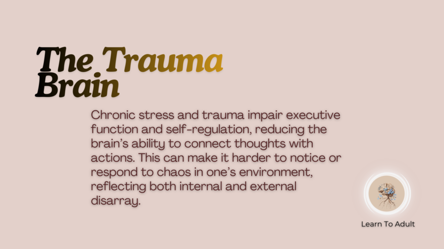 The Trauma Brain