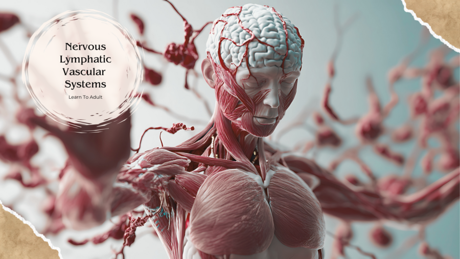 The body survives because it remembers harmony.